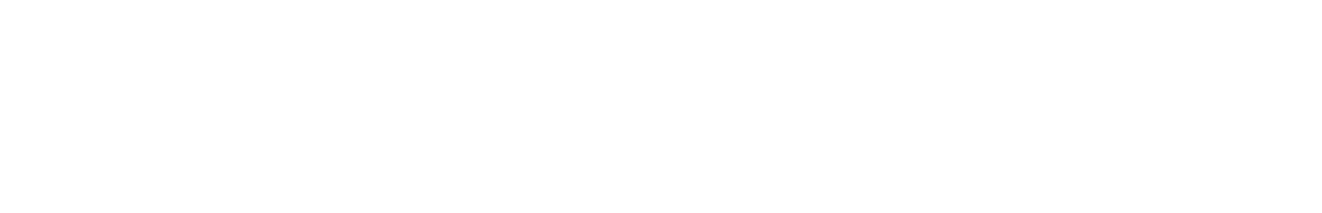 Businessmap-logo-white